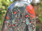 Polished Bloodstone Standing Free Forms x 2 From Swaziland - Toprock Gemstones and Minerals 