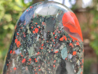 Polished Bloodstone Standing Free Forms x 2 From Swaziland
