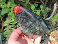 Polished Bloodstone Standing Free Forms x 2 From Swaziland