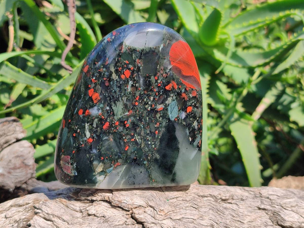 Polished Bloodstone Standing Free Forms x 2 From Swaziland - Toprock Gemstones and Minerals 