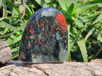 Polished Bloodstone Standing Free Forms x 2 From Swaziland - Toprock Gemstones and Minerals 