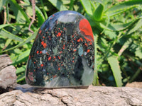 Polished Bloodstone Standing Free Forms x 2 From Swaziland