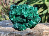 Natural Silky Malachite Specimens x 4 From Kasompe, Congo