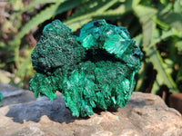 Natural Silky Malachite Specimens x 4 From Kasompe, Congo