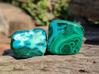 Polished Malacolla Free Forms x 70 From Kalukundi Mine, Congo