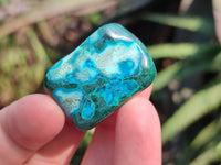 Polished Malacolla Free Forms x 70 From Kalukundi Mine, Congo