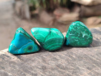 Polished Malacolla Free Forms x 70 From Kalukundi Mine, Congo