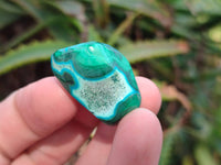 Polished Malacolla Free Forms x 70 From Kalukundi Mine, Congo