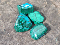 Polished Malacolla Free Forms x 70 From Kalukundi Mine, Congo