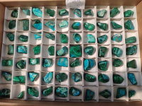 Polished Malacolla Free Forms x 70 From Kalukundi Mine, Congo