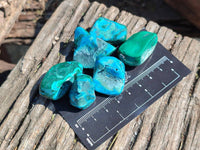 Polished Malacolla Free Forms x 70 From Kalukundi Mine, Congo