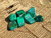 Polished Malacolla Free Forms x 70 From Kalukundi Mine, Congo