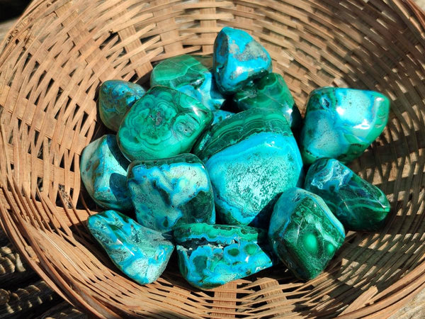 Polished Malacolla Free Forms x 70 From Kalukundi Mine, Congo