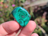 Polished Malacolla Free Forms x 70 From Kalukundi Mine, Congo