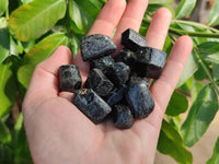 Natural Alluvial Schorl Black Tourmaline Crystals x 2.92 Kg Lot From Zimbabwe