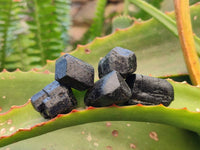 Natural Alluvial Schorl Black Tourmaline Crystals x 2.92 Kg Lot From Zimbabwe