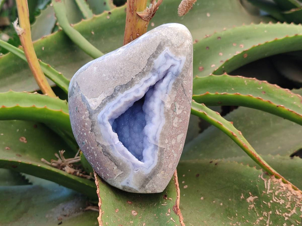 Polished Blue Lace Agate Standing Free Forms x 2 From Nsanje, Malawi - Toprock Gemstones and Minerals 