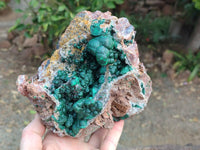 Natural Ball Malachite On Dolomite Matrix Specimen x 1 From Kambove, Congo