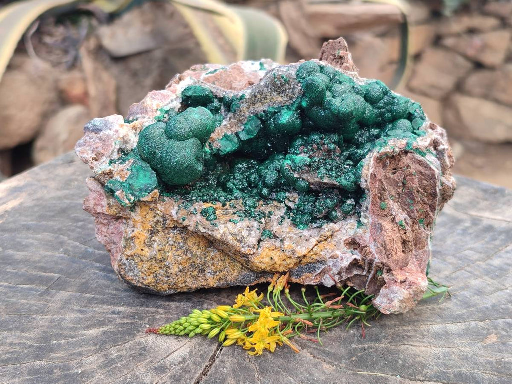 Natural Ball Malachite On Dolomite Matrix Specimen x 1 From Kambove, Congo - Toprock Gemstones and Minerals 