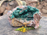 Natural Ball Malachite On Dolomite Matrix Specimen x 1 From Kambove, Congo