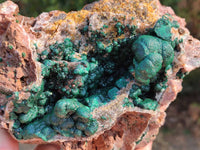 Natural Ball Malachite On Dolomite Matrix Specimen x 1 From Kambove, Congo