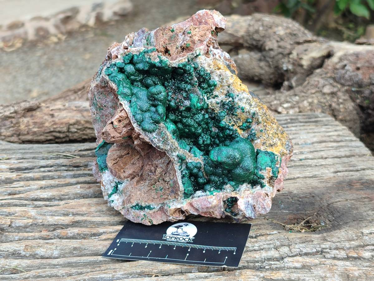 Natural Ball Malachite On Dolomite Matrix Specimen x 1 From Kambove, Congo - Toprock Gemstones and Minerals 