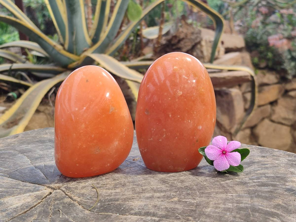 Polished Orange Twist Calcite Standing Free Forms x 2 From Maevantanana, Madagascar - Toprock Gemstones and Minerals 