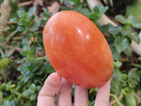 Polished Orange Twist Calcite Standing Free Forms x 2 From Maevantanana, Madagascar
