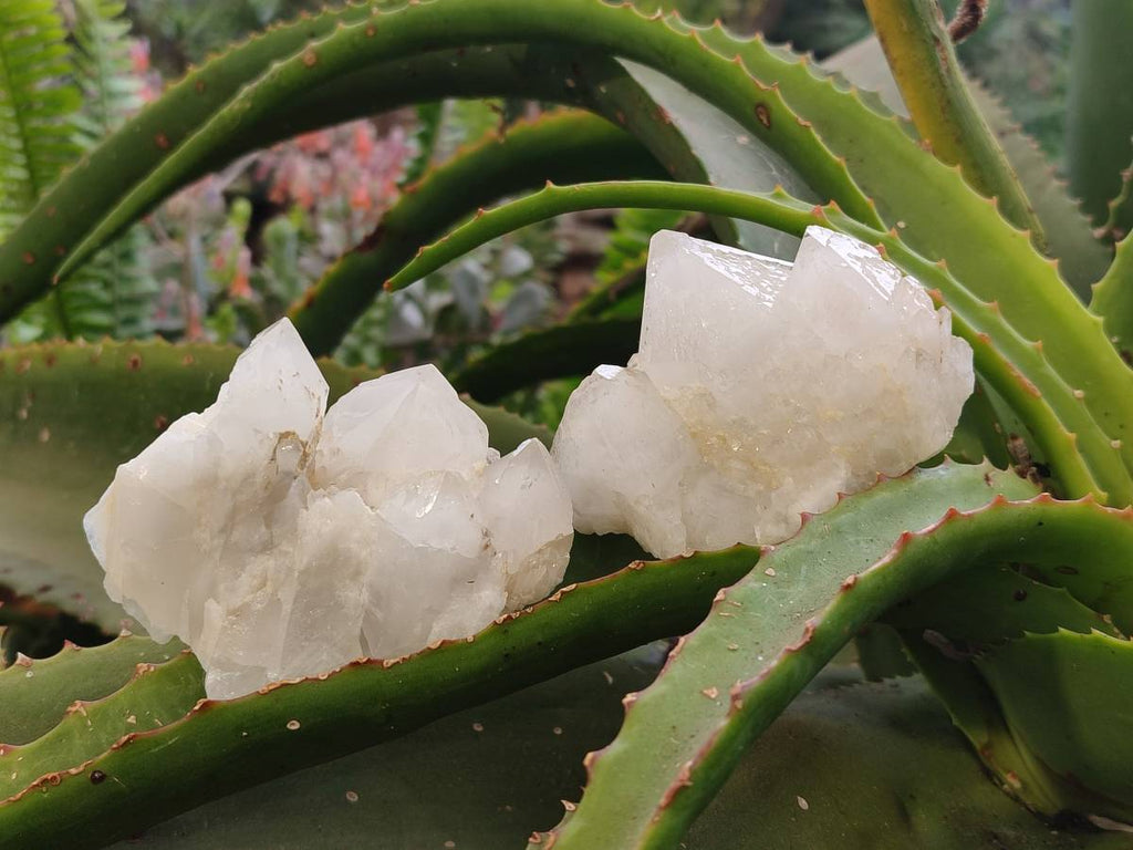 Natural Quartz Clusters x 12 From Madagascar - Toprock Gemstones and Minerals 