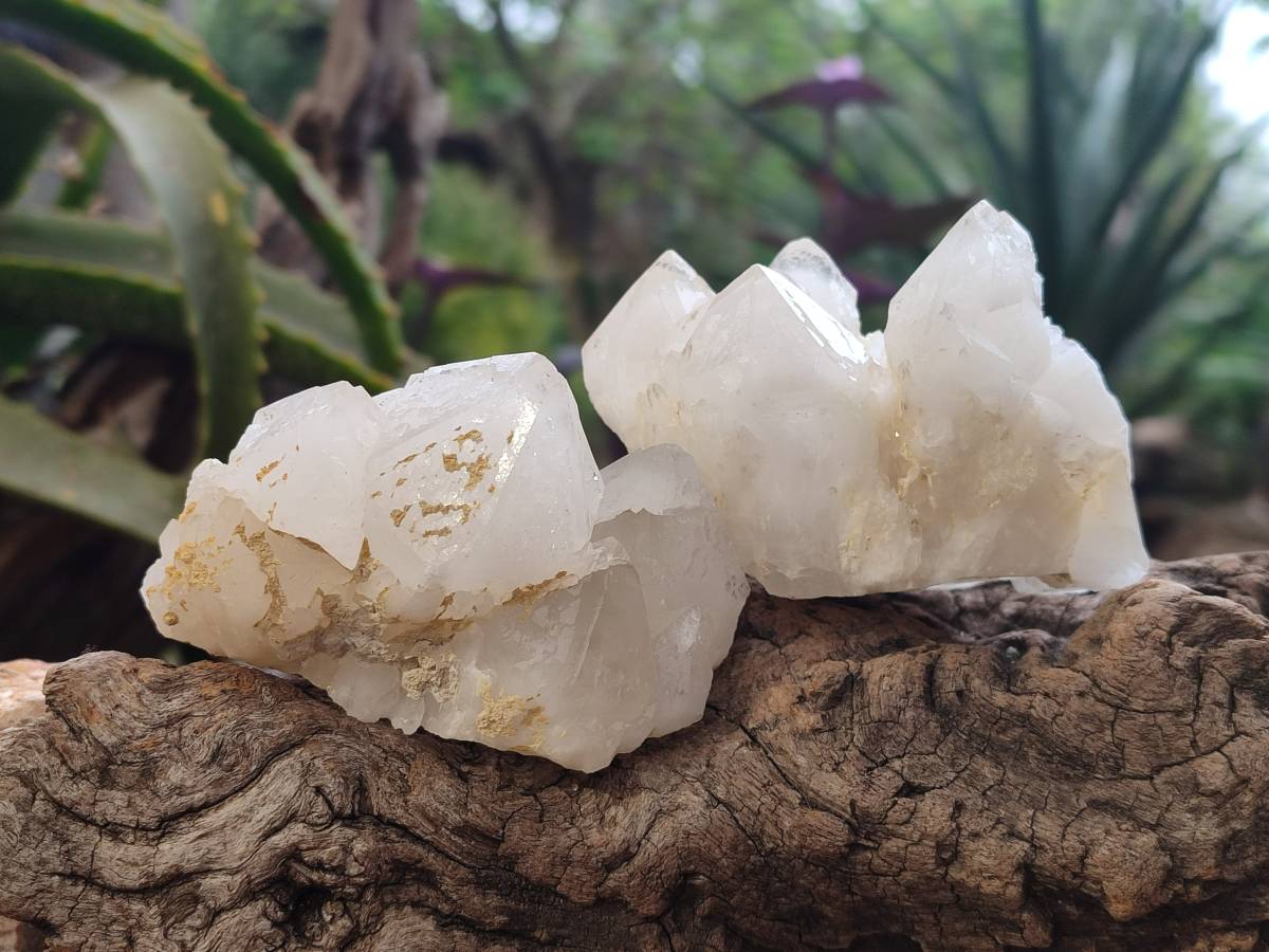 Natural Quartz Clusters x 12 From Madagascar - Toprock Gemstones and Minerals 