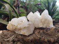 Natural Quartz Clusters x 12 From Madagascar