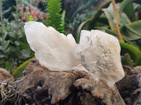 Natural Quartz Clusters x 12 From Madagascar