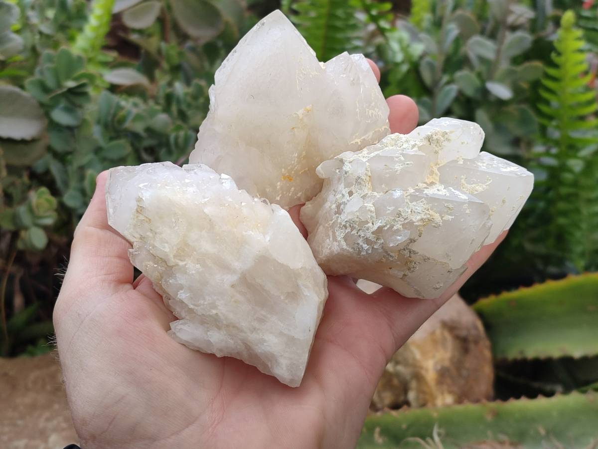 Natural Quartz Clusters x 12 From Madagascar - Toprock Gemstones and Minerals 