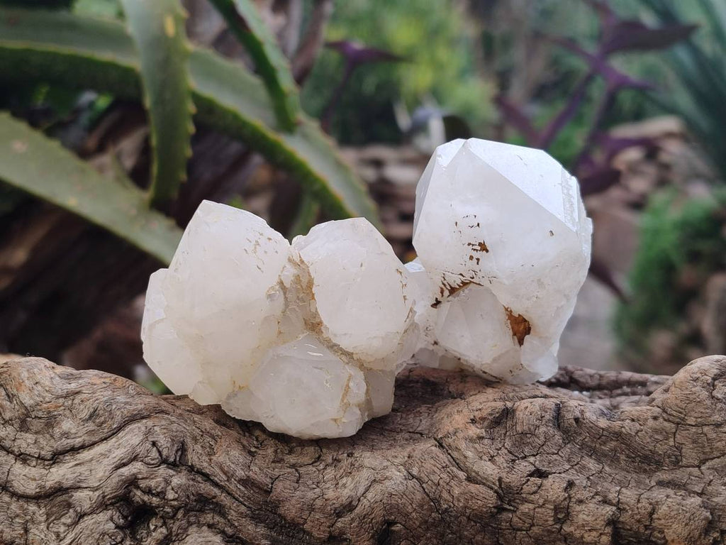 Natural Quartz Clusters x 12 From Madagascar - Toprock Gemstones and Minerals 