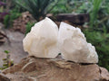 Natural Quartz Clusters x 12 From Madagascar - Toprock Gemstones and Minerals 