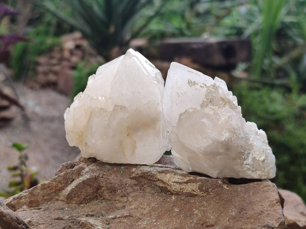 Natural Quartz Clusters x 12 From Madagascar - Toprock Gemstones and Minerals 
