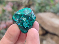 Polished Dioptase Free Forms x 22 From Likasi, Congo