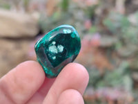 Polished Dioptase Free Forms x 22 From Likasi, Congo