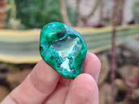 Polished Dioptase Free Forms x 22 From Likasi, Congo