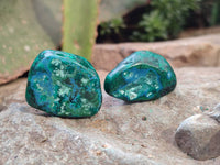 Polished Dioptase Free Forms x 22 From Likasi, Congo