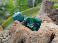 Polished Dioptase Free Forms x 22 From Likasi, Congo