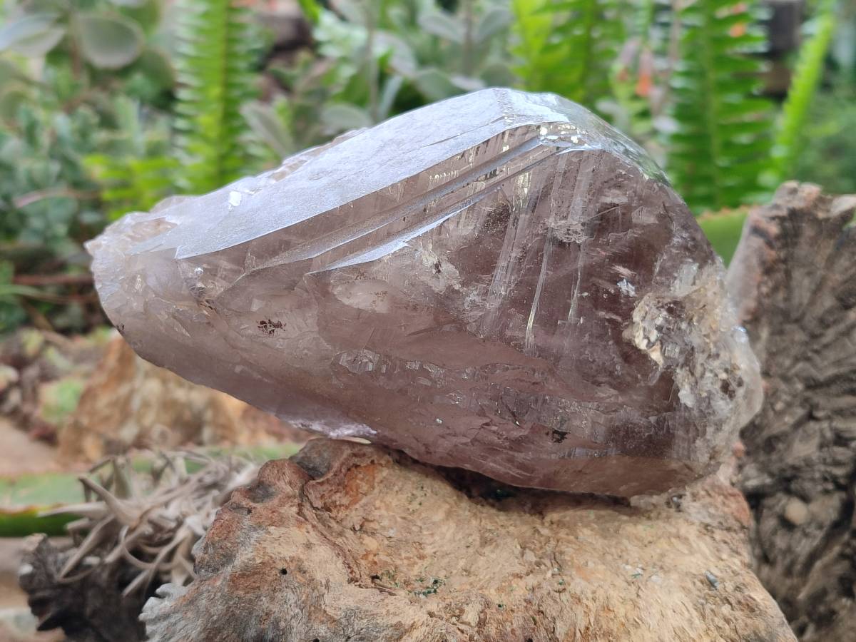 Natural Smokey Quartz Crystals x 3 From Zomba, Malawi - Toprock Gemstones and Minerals 
