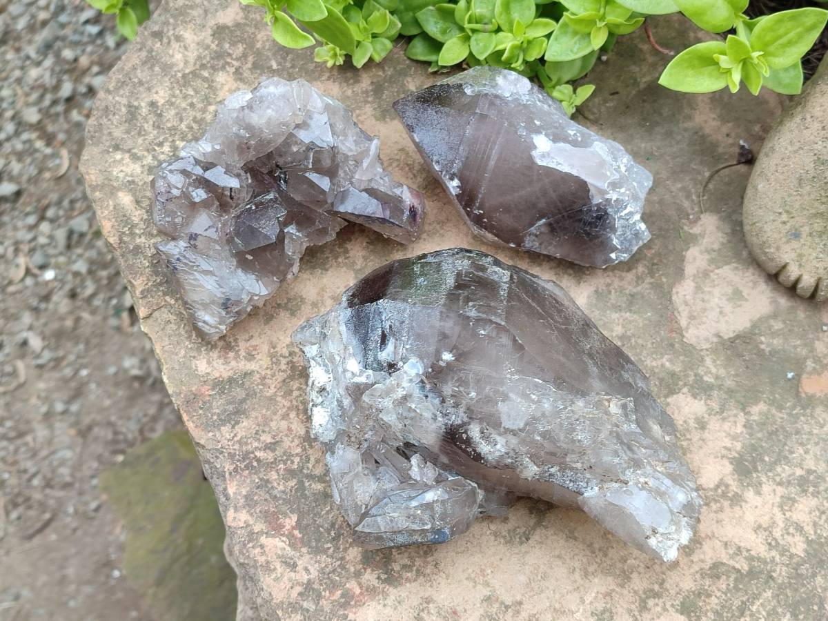 Natural Smokey Quartz Crystals x 3 From Zomba, Malawi - Toprock Gemstones and Minerals 