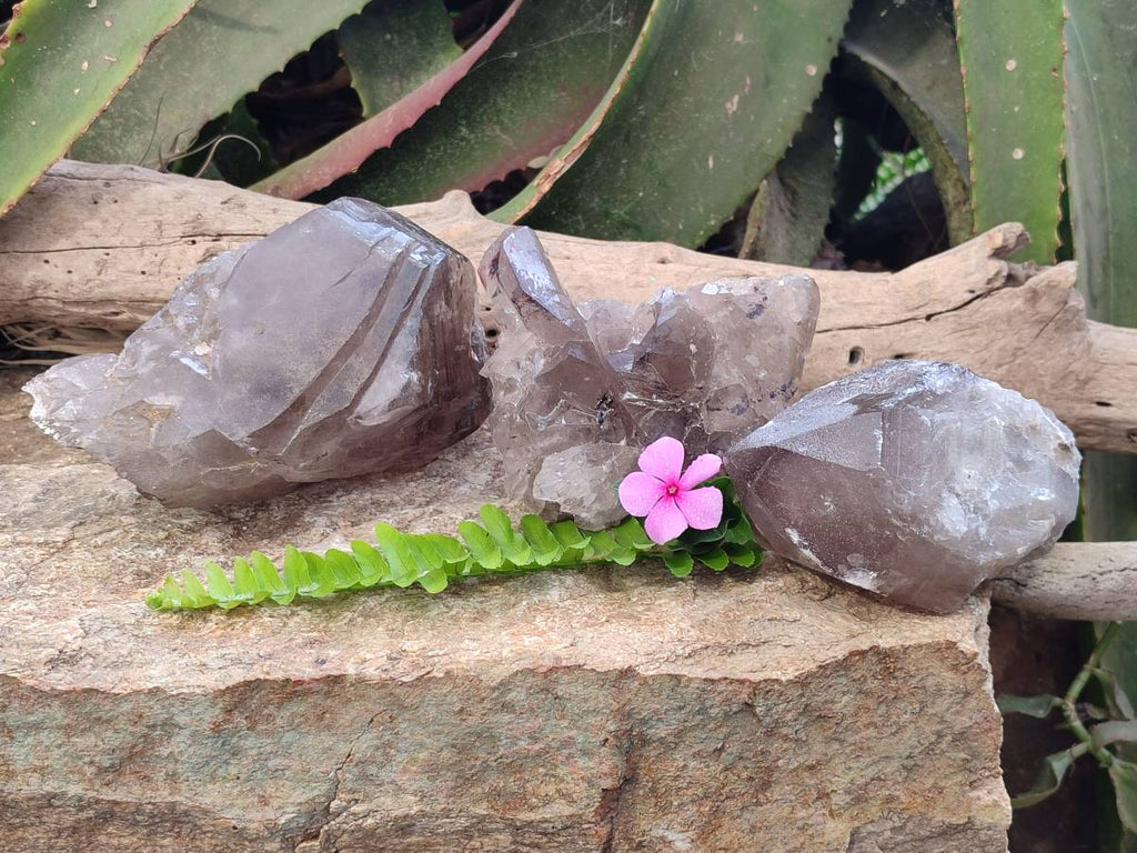 Natural Smokey Quartz Crystals x 3 From Zomba, Malawi - Toprock Gemstones and Minerals 