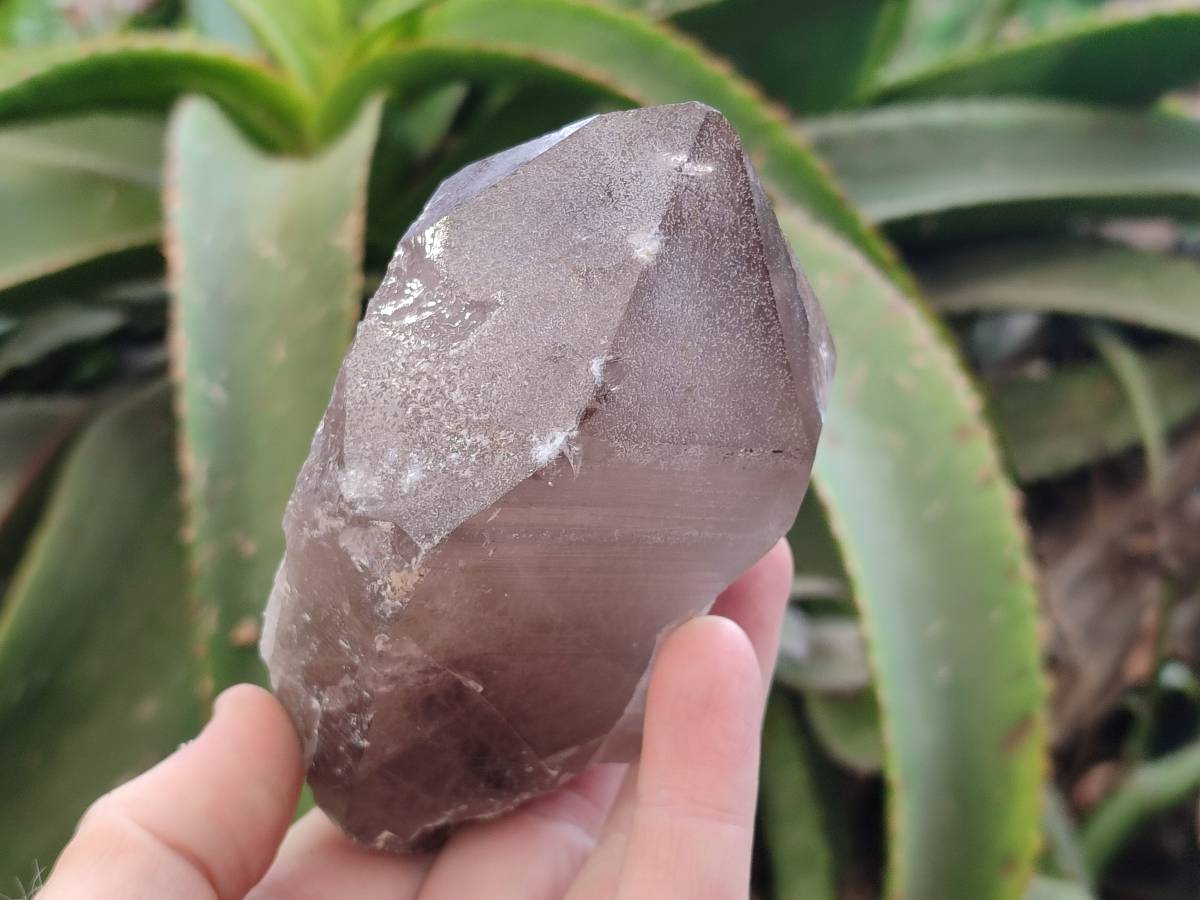 Natural Smokey Quartz Crystals x 3 From Zomba, Malawi - Toprock Gemstones and Minerals 