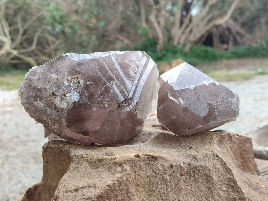 Natural Smokey Quartz Crystals x 3 From Zomba, Malawi - Toprock Gemstones and Minerals 