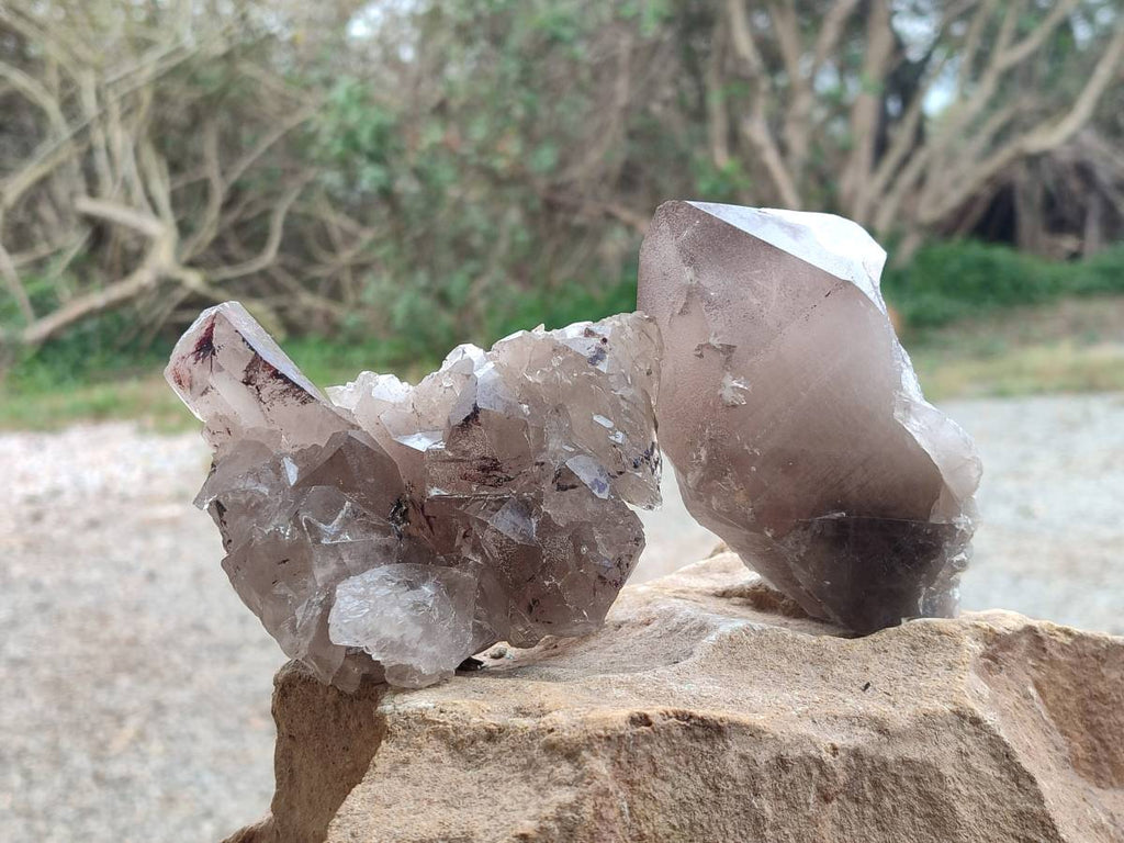 Natural Smokey Quartz Crystals x 3 From Zomba, Malawi - Toprock Gemstones and Minerals 