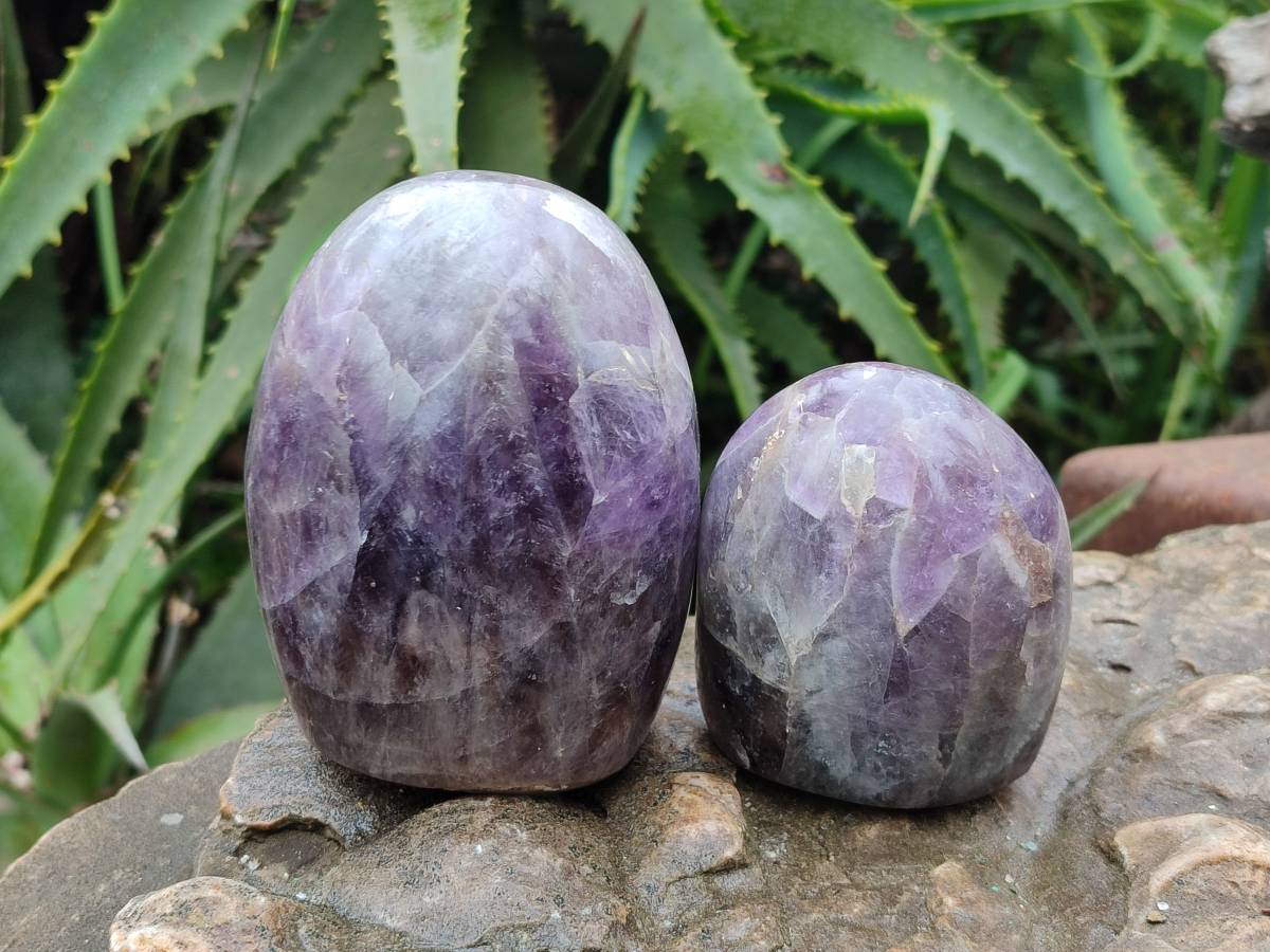 Polished Deep Purple Chevron Amethyst Standing Free Forms x 4 From Ankazobe, Madagascar - Toprock Gemstones and Minerals 