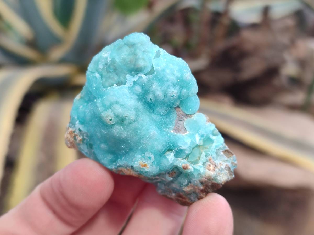 Natural Hemimorphite on Dolomite Specimens x 6 From Lupoto Mine, Congo - Toprock Gemstones and Minerals 