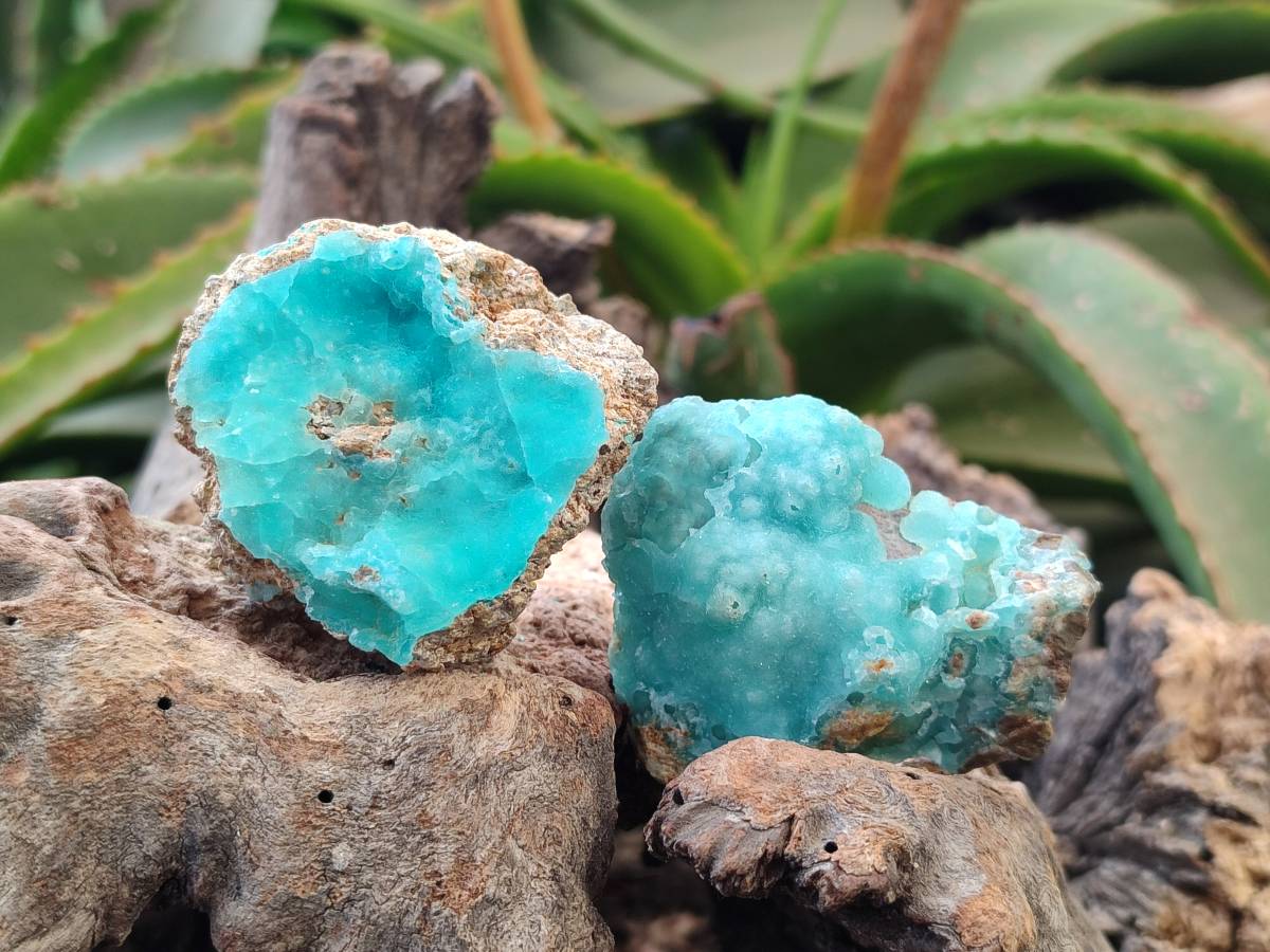 Natural Hemimorphite on Dolomite Specimens x 6 From Lupoto Mine, Congo - Toprock Gemstones and Minerals 